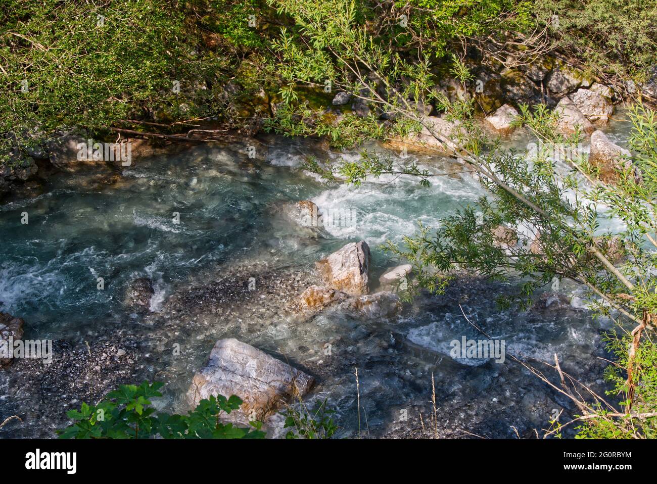 Belle vue sur l'eau qui coule sur les pierres et les plantes de la cascade en Autriche Banque D'Images