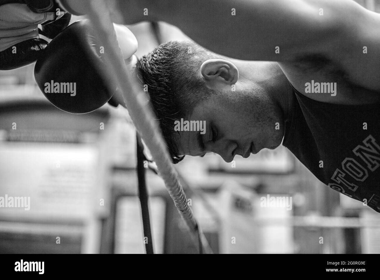 Boxer fatigué reposant contre des cordes en anneau Banque D'Images
