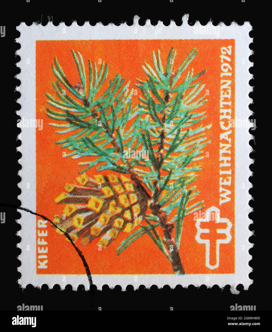 Un timbre imprimé en Allemagne montrant le pin, timbre de Noël pour aider le malade de la tuberculose et nous protéger, vers 1972 Banque D'Images