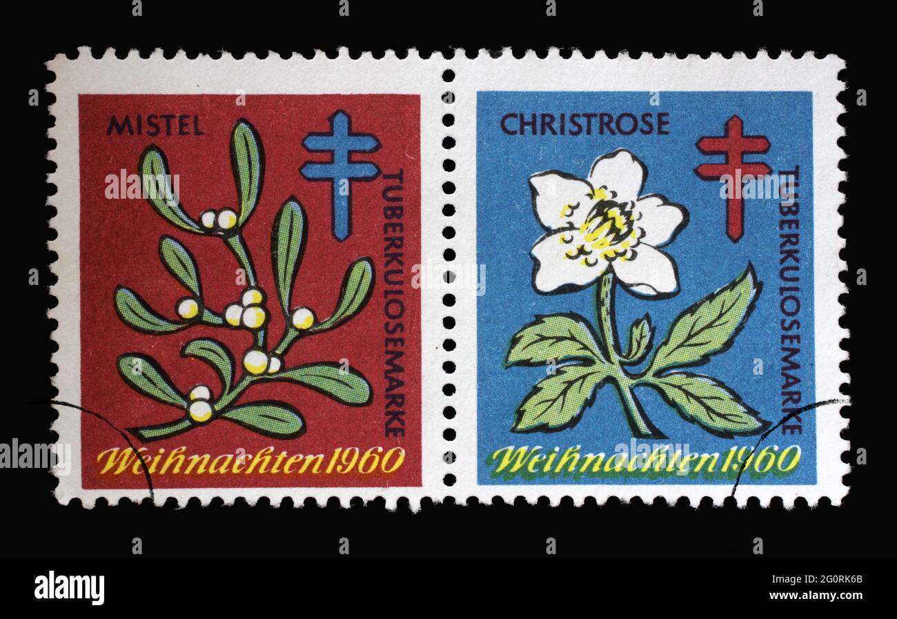 Timbre imprimé en Allemagne montrant Weihnachten tuberkulosemarke, vers 1960 Banque D'Images