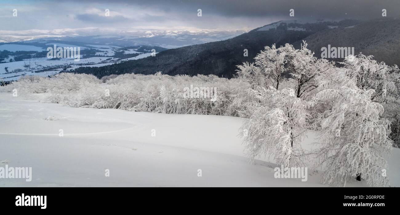 Paysage d'hiver en montagne. Carpathian, Ukraine Banque D'Images