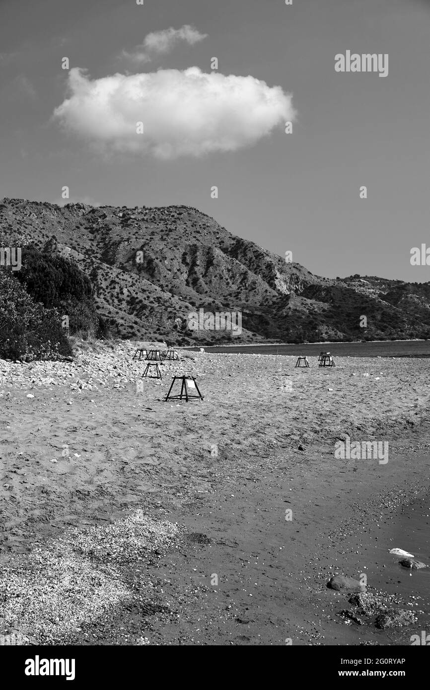 marquage en bois du lieu de stockage des oeufs par les tortues Careta Careta sur les plages de sable de Dafni sur l'île de Zakynthos, monochrome Banque D'Images