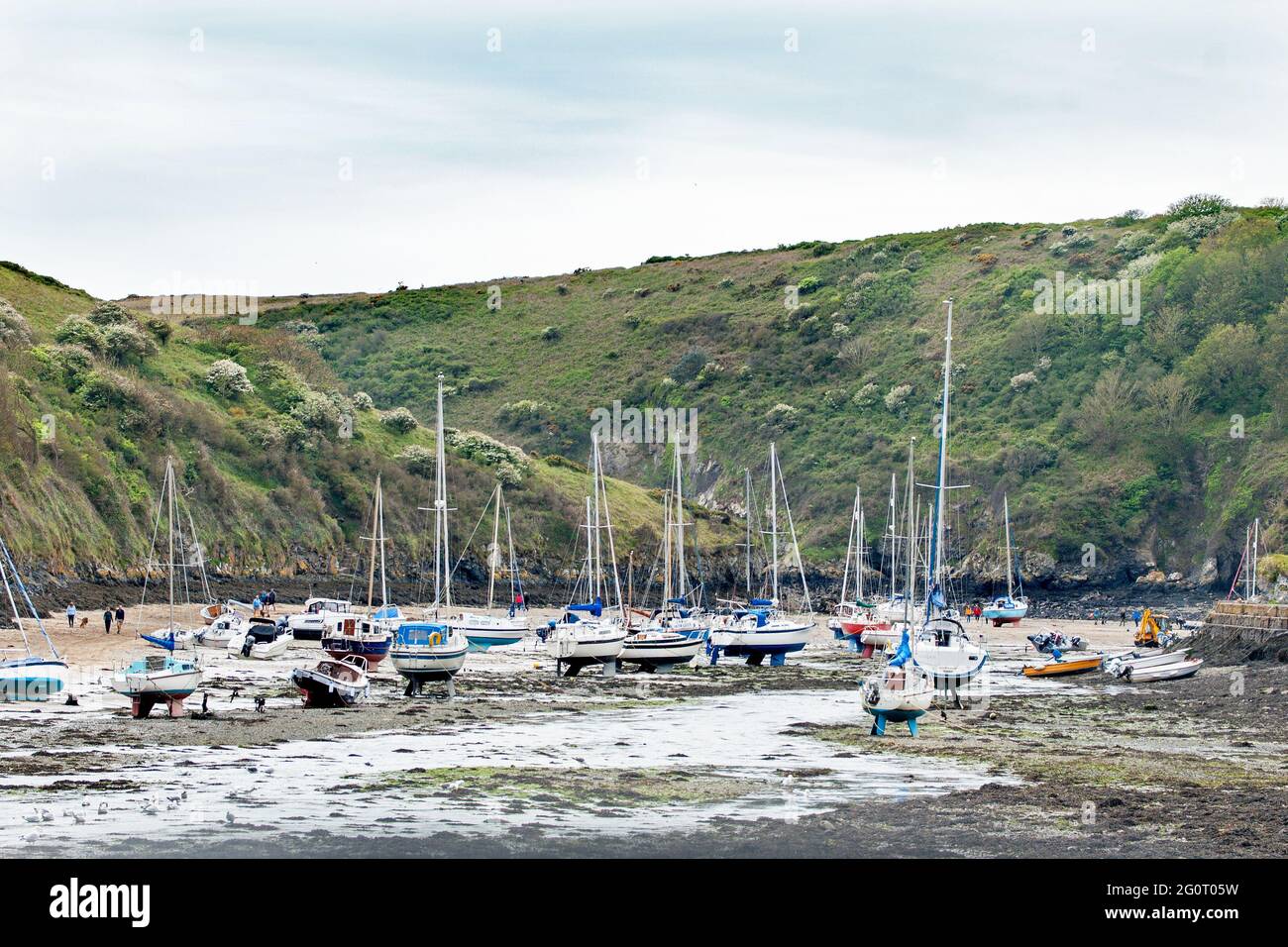 Estuaire de la rivière Solva à marée basse, Pembrokeshire, pays de Galles Banque D'Images