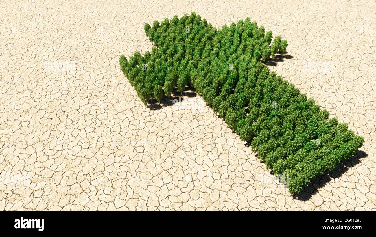 Concept ou groupe conceptuel d'arbre forestier vert sur fond de sol sec comme signe de croix chrétienne religieuse. Une métaphore d'illustration 3D. Banque D'Images