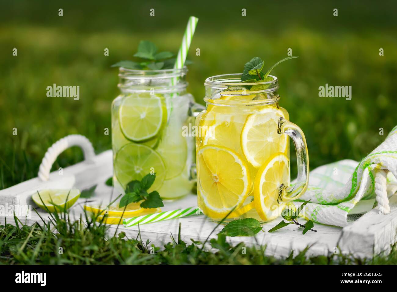 Limonade maison fraîche avec menthe, citron et lime dans des pots de maçon sur une pelouse d'été. Banque D'Images