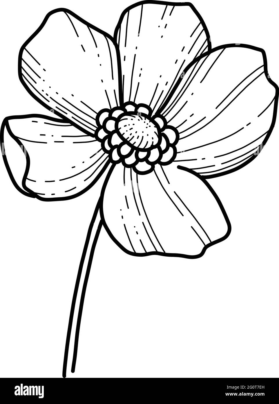 Main libre Sakura fleur vecteur, belle ligne art Peach fleur isoler sur fond blanc. Fleur du japon de printemps. Style dessiné à la main réaliste Illustration de Vecteur