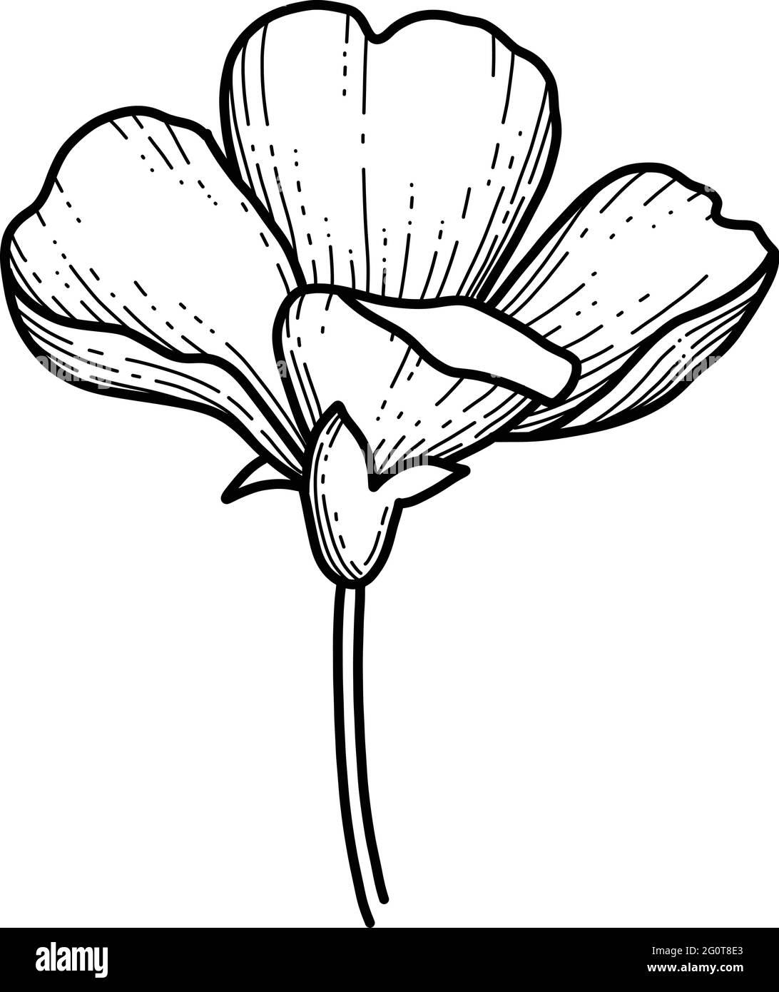 Main libre Sakura fleur vecteur, belle ligne art Peach fleur isoler sur fond blanc. Fleur du japon de printemps. Style dessiné à la main réaliste Illustration de Vecteur