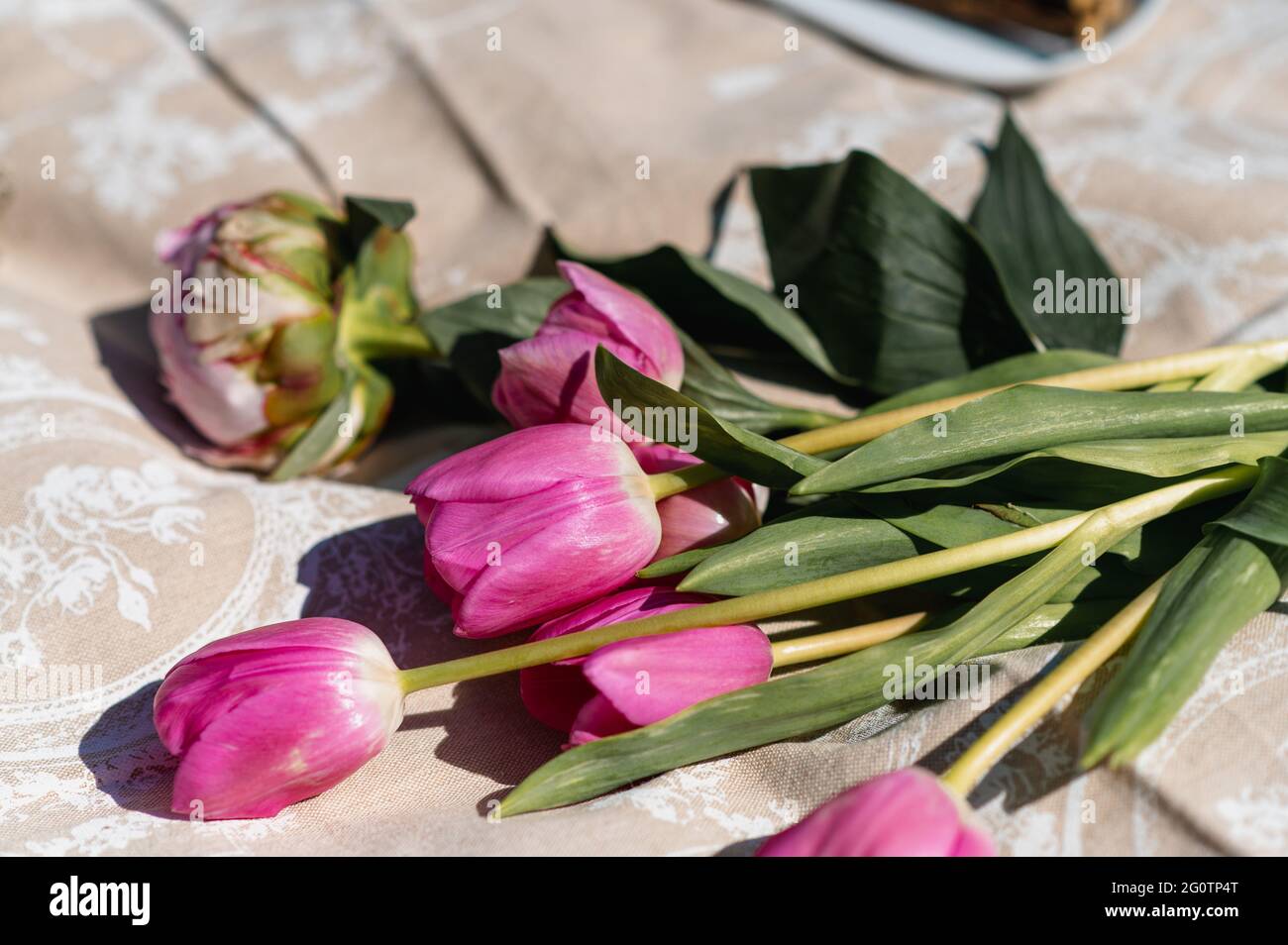 Gros plan de tulipes de cueillette couchées sur une couverture. Banque D'Images