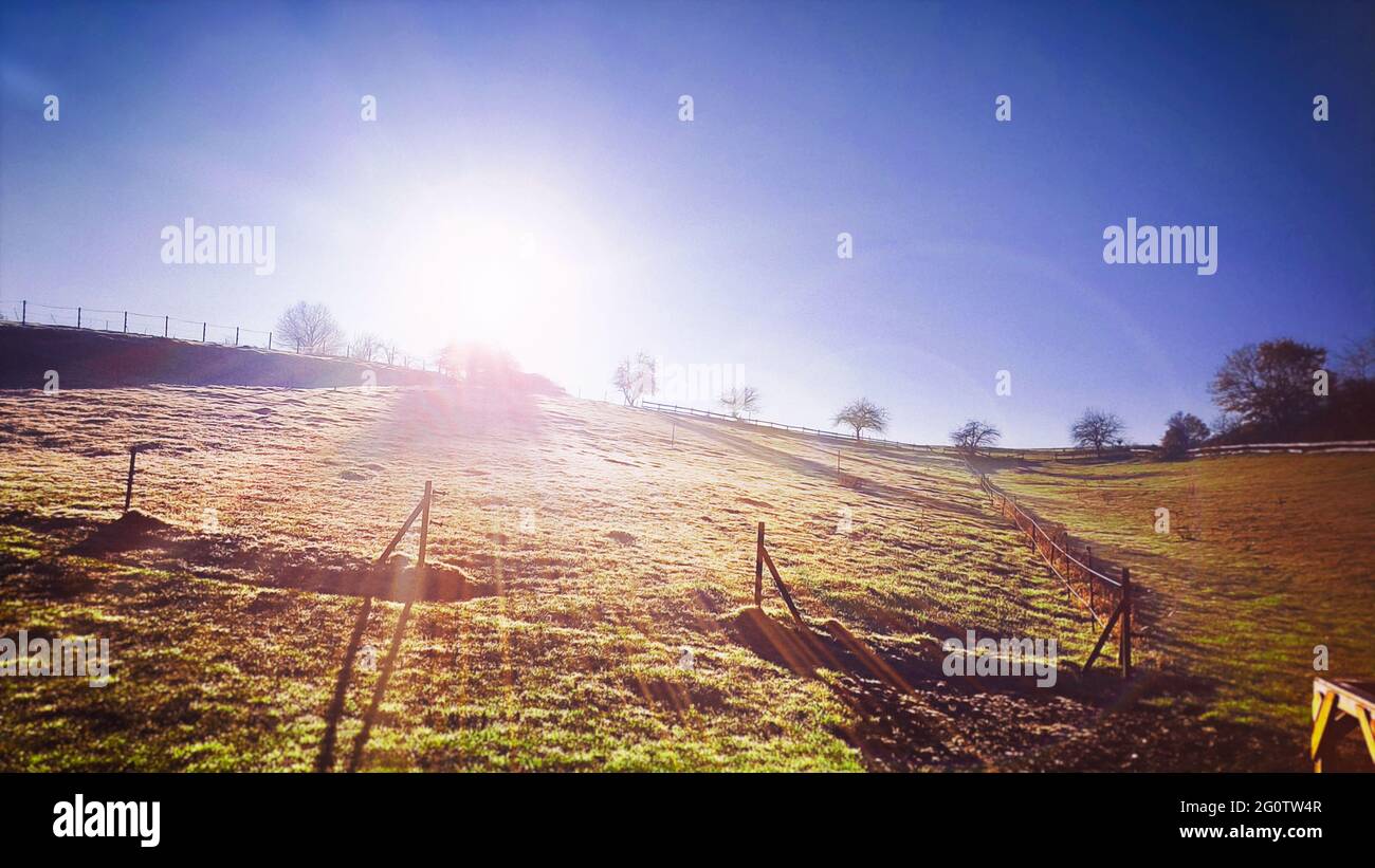 Un pâturage de vache solitaire et déserté lors d'une matinée d'hiver froide à Mühlheim an der Ruhr. Des prairies et des champs par une belle journée d'hiver. Banque D'Images