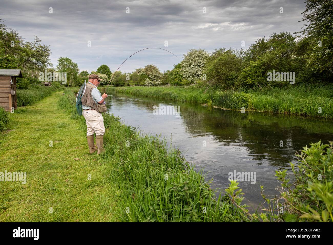 Pêcheur de mouche attrapant la truite brune, River Test, Wherwell, Hampshire, Royaume-Uni. Banque D'Images
