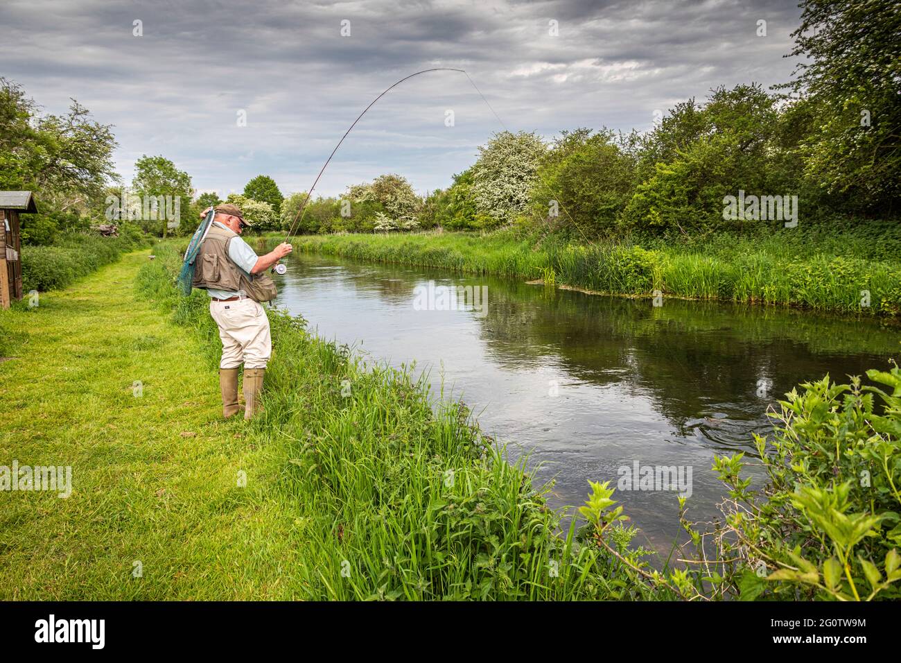 Pêcheur de mouche attrapant la truite brune, River Test, Wherwell, Hampshire, Royaume-Uni. Banque D'Images