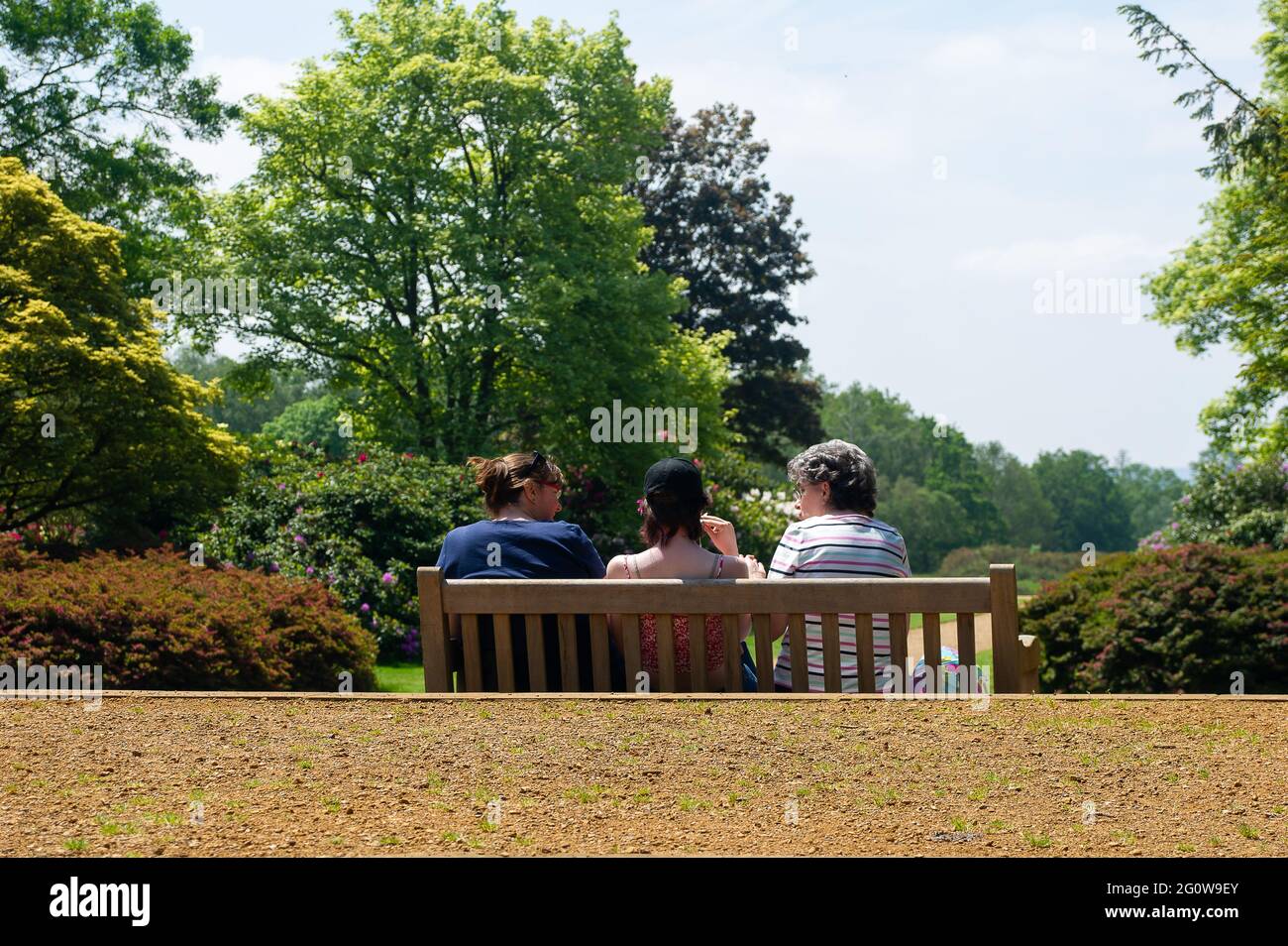 Iver, Buckinghamshire, Royaume-Uni. 3 juin 2021. Les gens étaient dehors en appréciant le temps chaud aujourd'hui à Langley Park. Le parc paysager du XVIIIe siècle fait partie du parc régional de la vallée de Colne et cette période de l'année a de beaux rhododendrons et azalées. Crédit : Maureen McLean/Alay Live News Banque D'Images