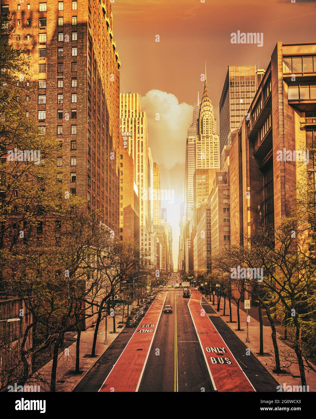 Coucher de soleil été belle rue New York City bâtiments arbre route Banque D'Images