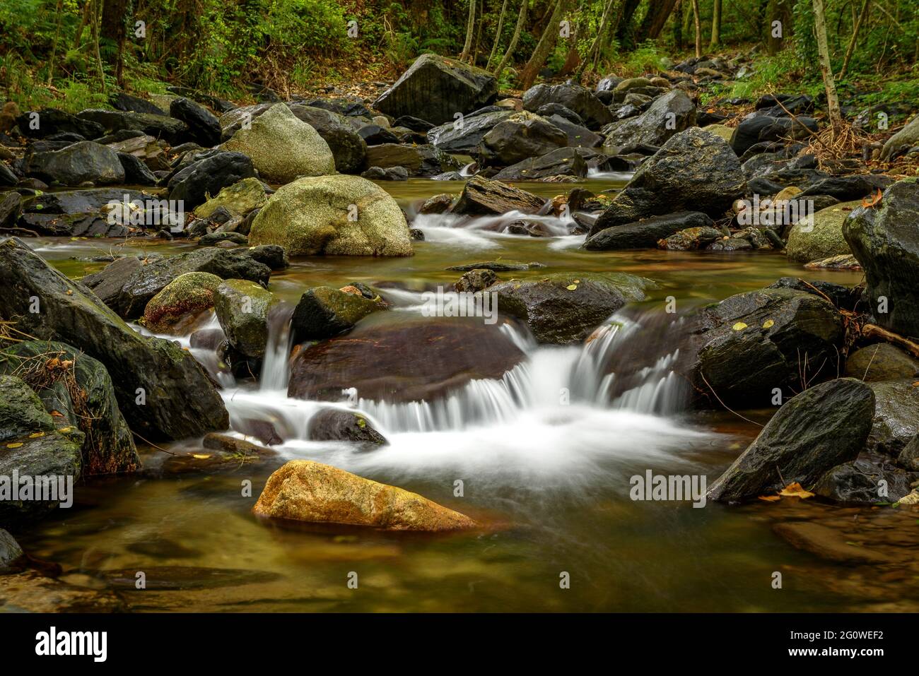 Montseny natural park Banque de photographies et d’images à haute