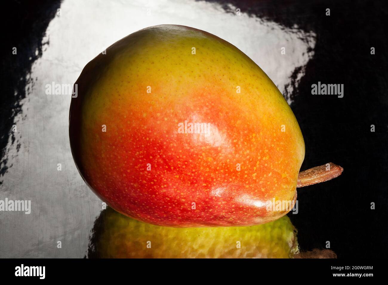 poire jaune rouge colorée sur fond réfléchissant Banque D'Images
