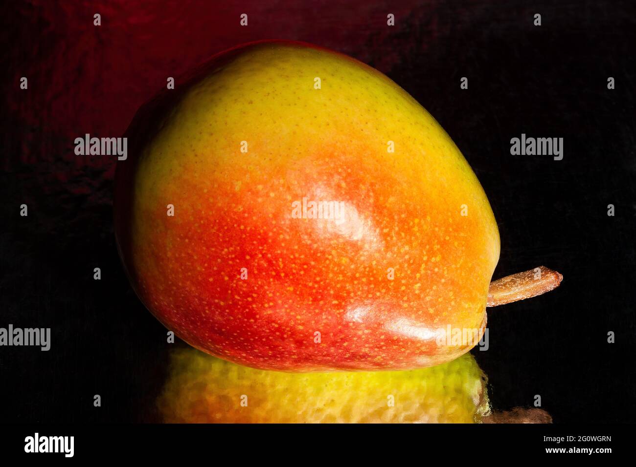 poire jaune rouge colorée sur fond réfléchissant Banque D'Images
