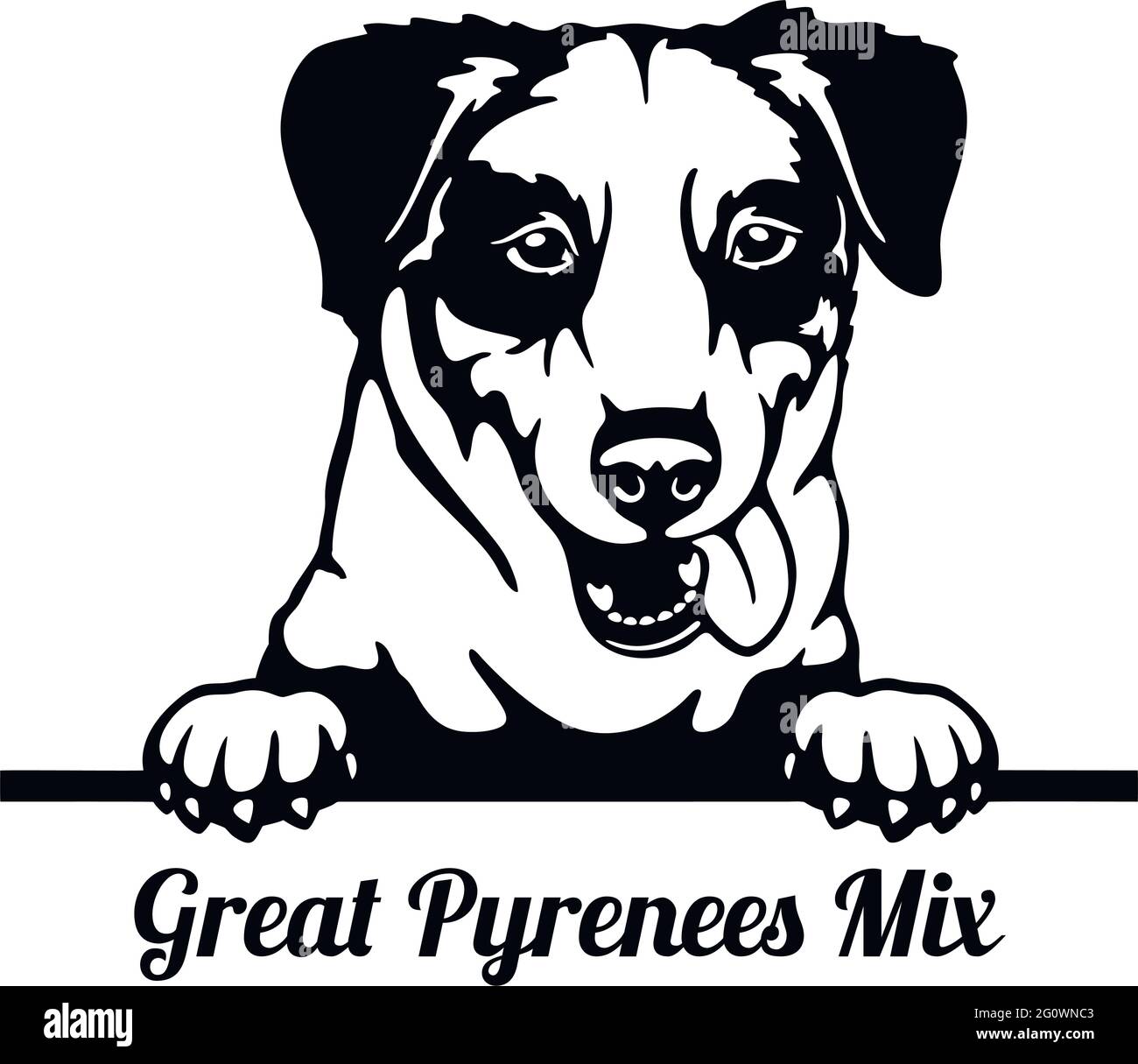 Grand Pyrenees Mix Peeking Dog - tête isolée sur blanc - vecteur stock Illustration de Vecteur