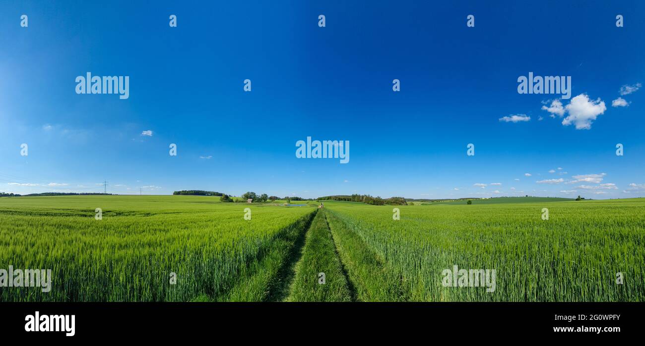 Vue panoramique sur les collines, les forêts et les champs sous la lumière naturelle, large panorama de la nature pittoresque mettant en valeur la profondeur et la tranquillité Banque D'Images