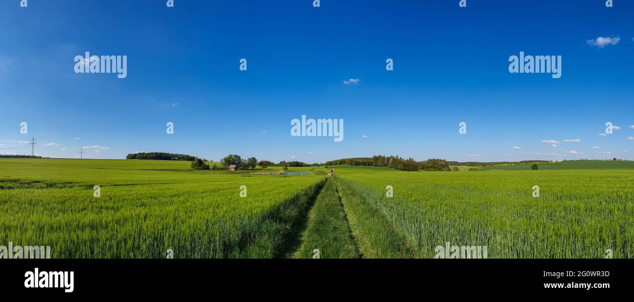 Vue panoramique sur les collines, les forêts et les champs sous la lumière naturelle, large panorama de la nature pittoresque mettant en valeur la profondeur et la tranquillité Banque D'Images