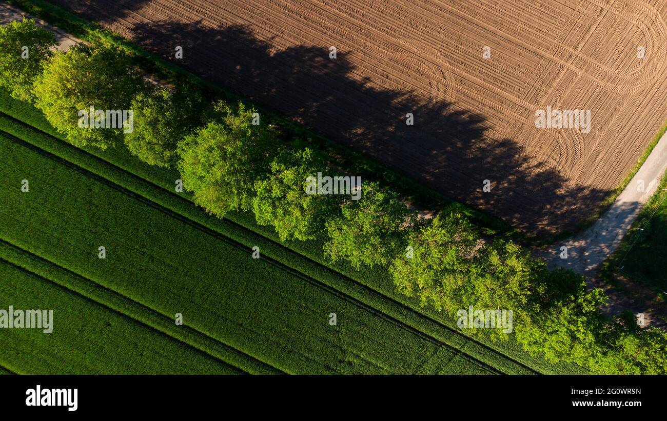 Magnifique paysage de début d'été avec arbres et champs.La photo a été prise en Allemagne.Cette image est parfaitement utilisée comme fond d'écran ou fond d'écran. Banque D'Images