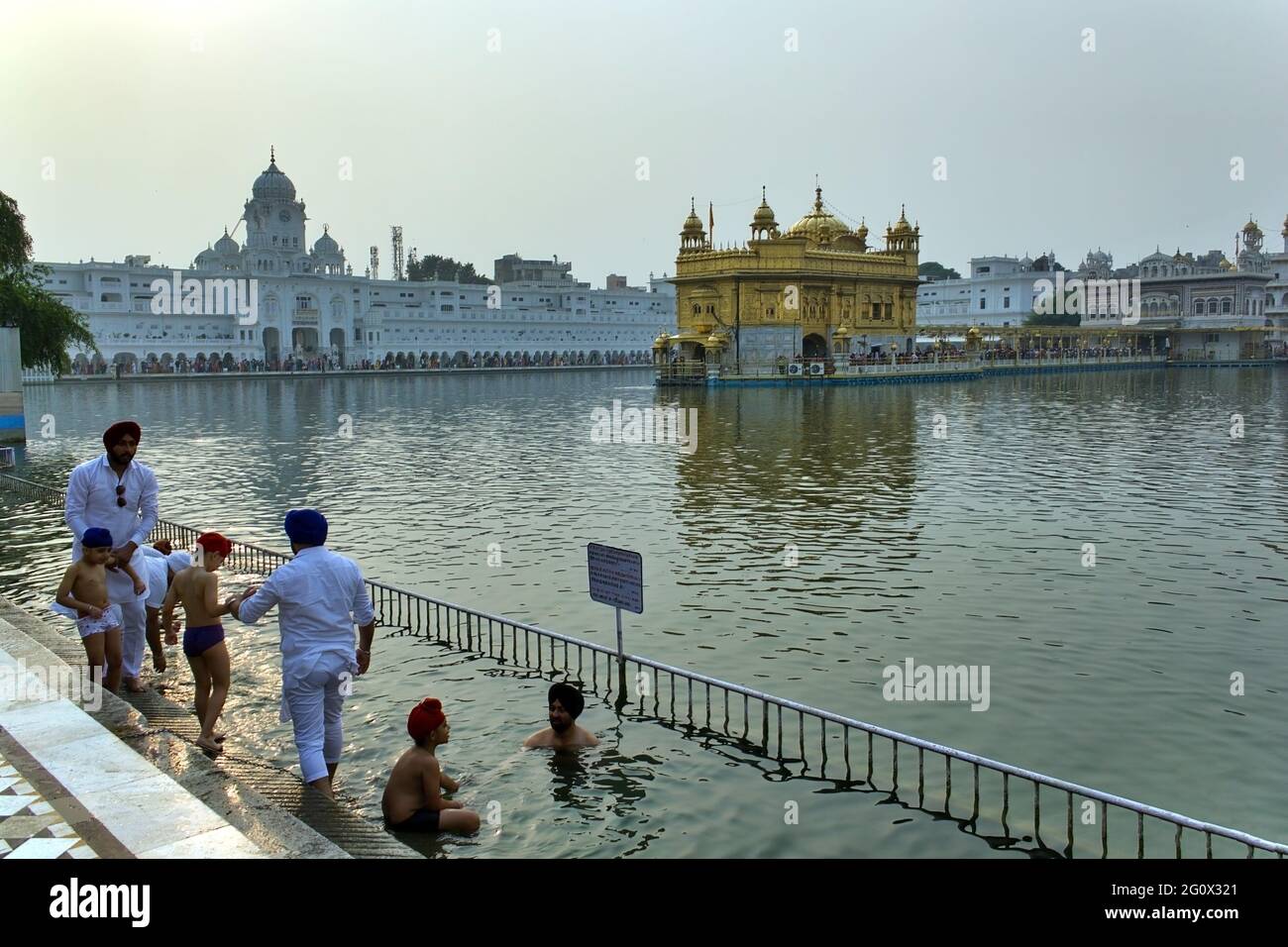 AMRITSAR, INDE - 06 novembre 2016 : les fidèles sikhs se baignent ou pionnent dans une piscine du Temple d'Or Harmandir Sahib dans l'État du Punjab, en Inde Banque D'Images