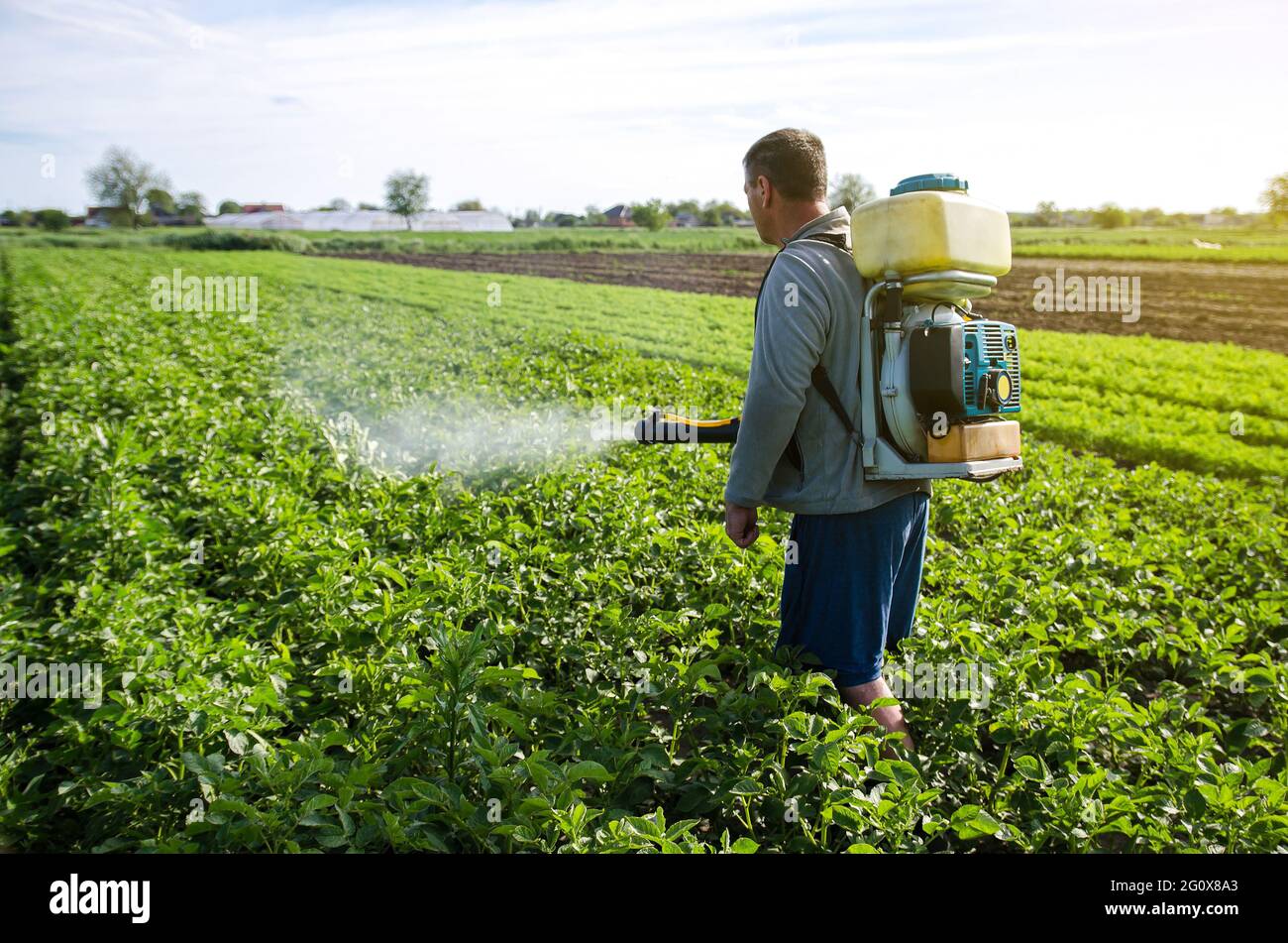 Un agriculteur équipé d'un pulvérisateur de brumisateur vaporise un fongicide et un pesticide sur les pommes de terre. Protection des plantes cultivées contre les insectes et les infections fongiques Banque D'Images