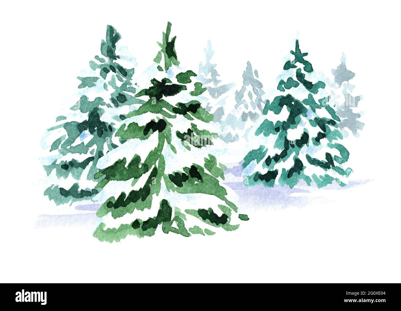 Forêt d'hiver. Sapin de Noël. Illustration aquarelle dessinée à la main,  isolée sur fond blanc Photo Stock - Alamy