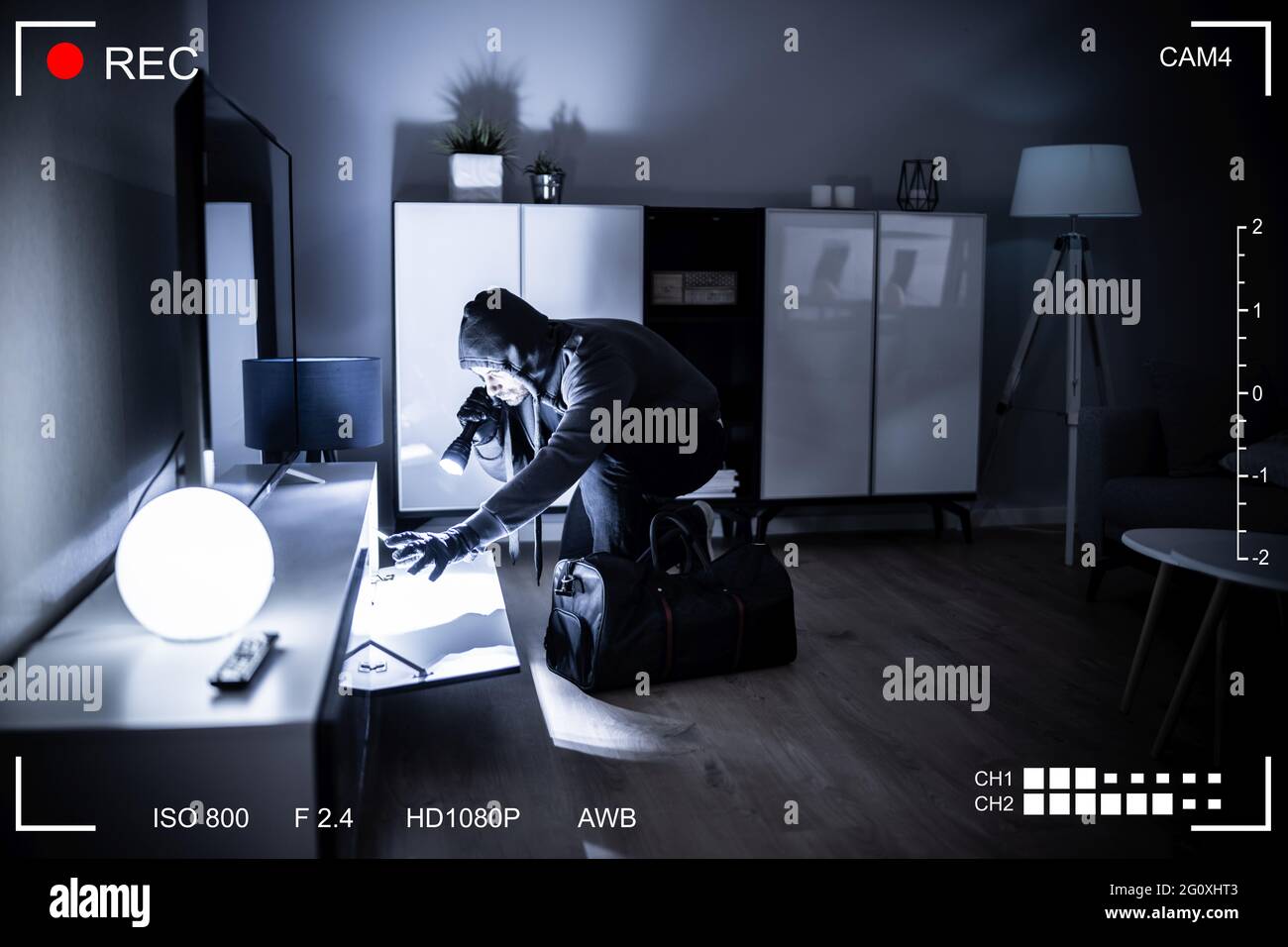 Caméra de vidéosurveillance présentant une observation anti-intrusion Banque D'Images