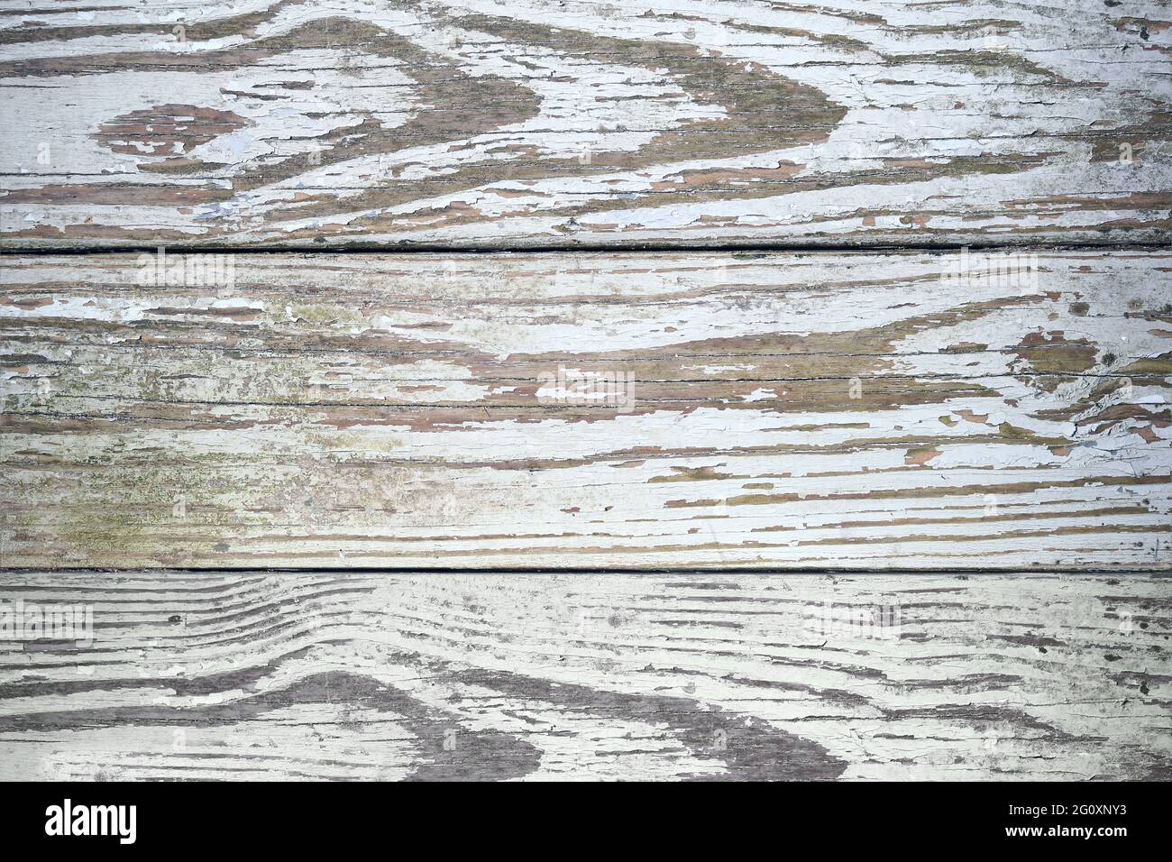 Panneaux de bois vieillis et vieillis avec peinture écaillée et croissance d'algues sale grunge texture de la vue de dessus Banque D'Images