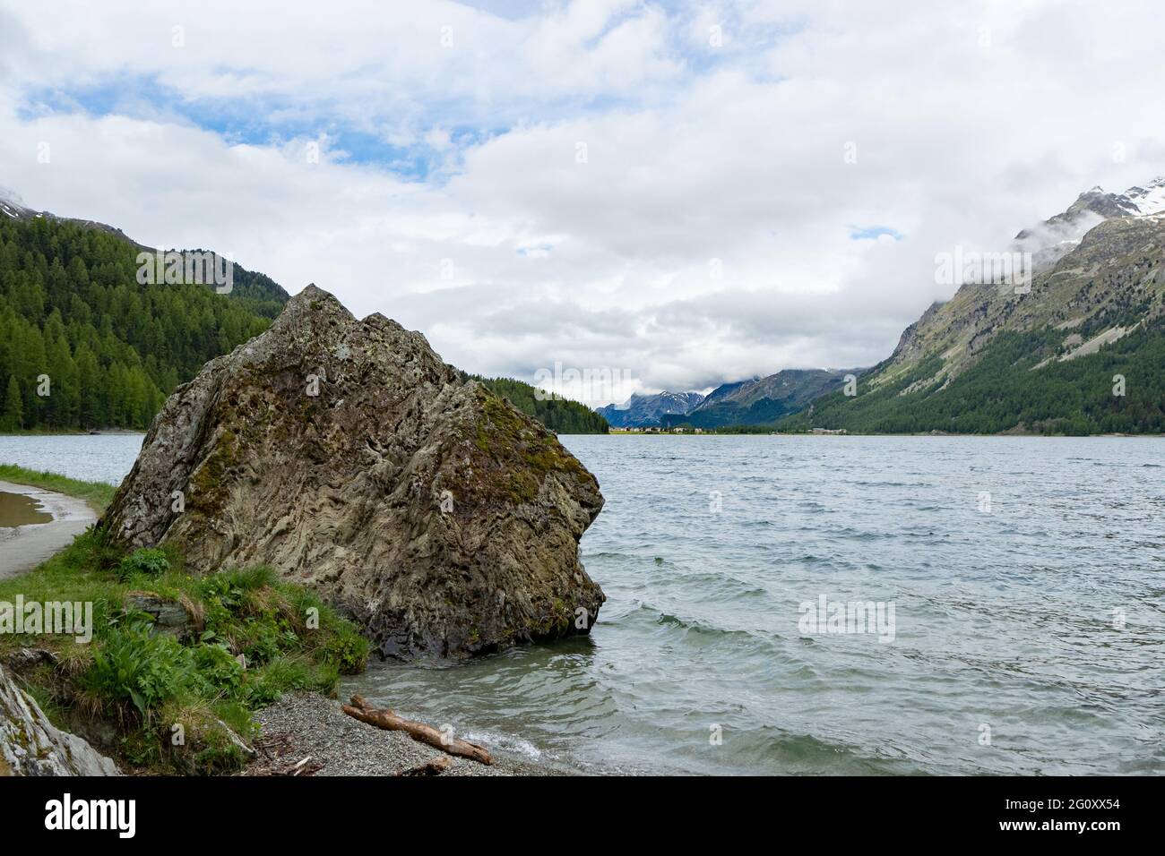 Vue sur une prairie avec fleurs et Silvaplanersee le long de Swiss Engadin Banque D'Images