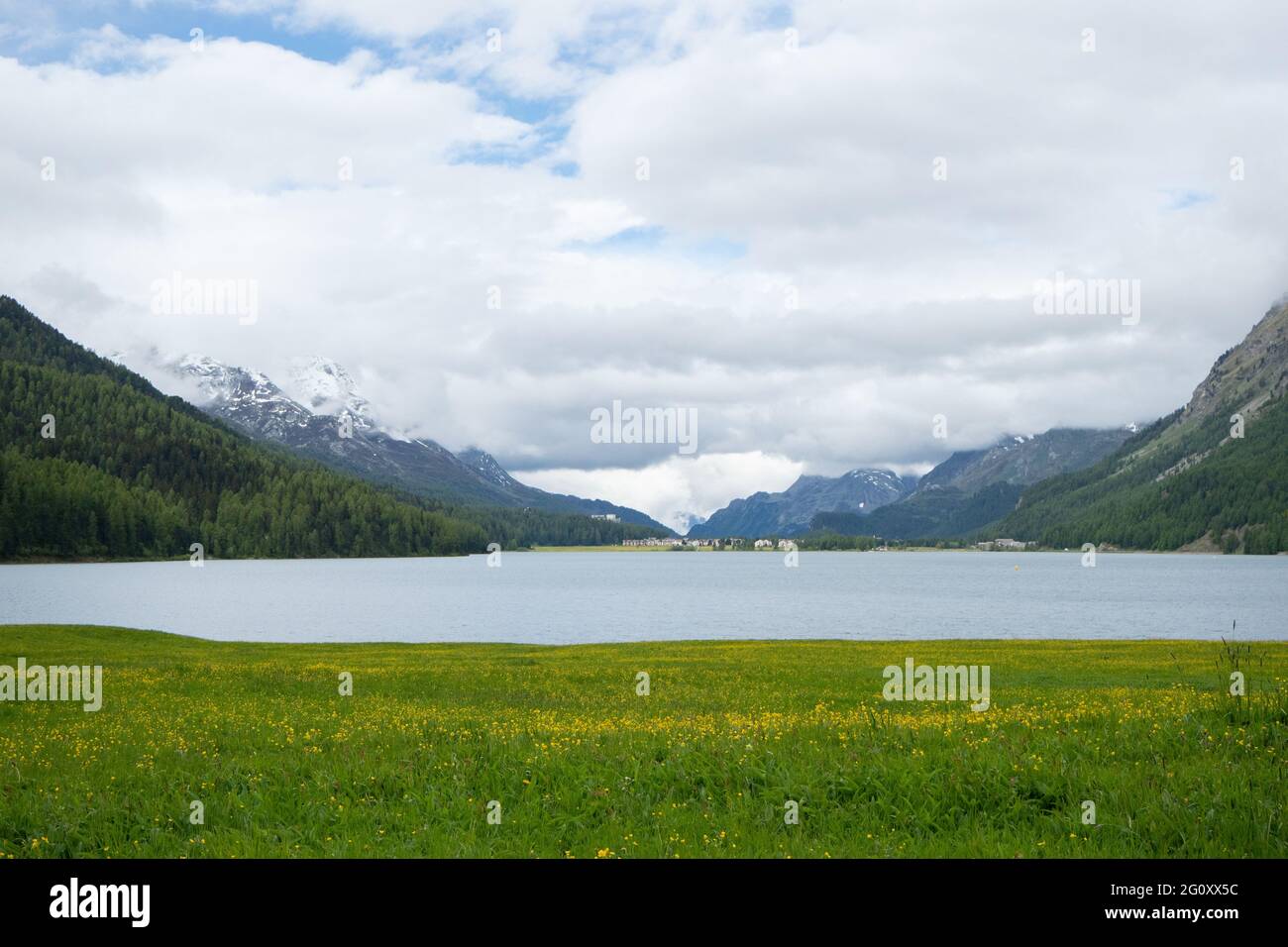 Vue sur une prairie avec fleurs et Silvaplanersee le long de Swiss Engadin Banque D'Images