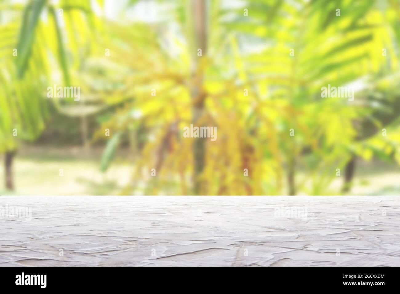 surface texturée blanche sur fond de plantes tropicales floues Banque D'Images
