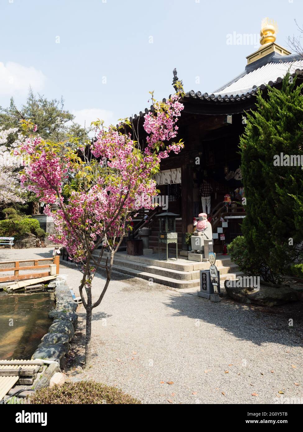 Naruto, Japon - 2 avril 2018 : cerisiers en fleurs à Ryozenji, temple numéro 1 du pèlerinage de Shikoku-henro Banque D'Images