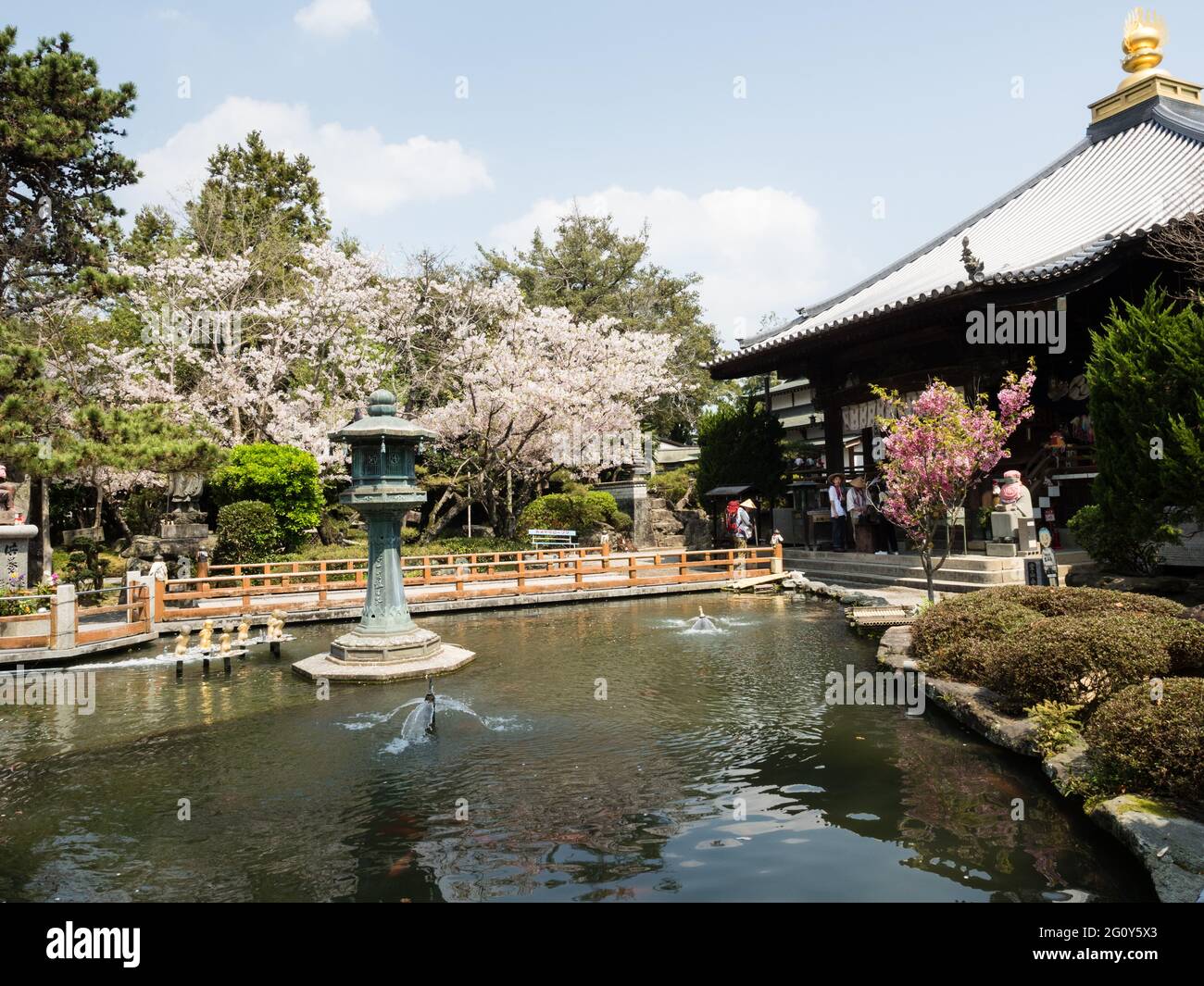 Naruto, Japon - 2 avril 2018 : cerisiers en fleurs à Ryozenji, temple numéro 1 du pèlerinage de Shikoku-henro Banque D'Images