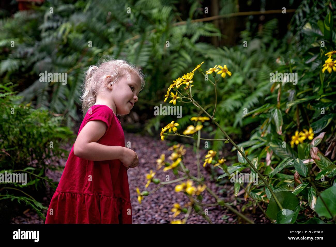 MacKay, Queensland, Australie - juin 2021 : une jeune fille explorant des pâquerettes dans les jardins botaniques locaux Banque D'Images