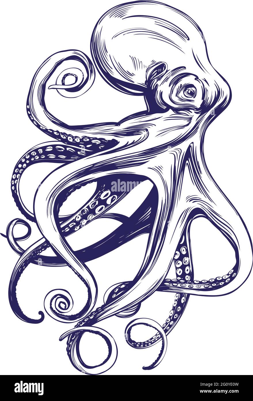poulpe, vie marine, dessin à la main illustration vectorielle esquisse réaliste Illustration de Vecteur