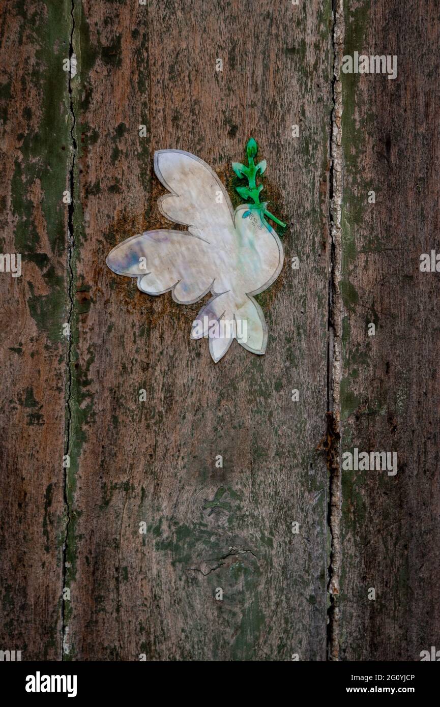 Colombe de paix à la porte de l'église Saint-Urcisse / Eglise Saint-Urcisse de Cahors, département du Lot, Sud-Ouest de la France Banque D'Images