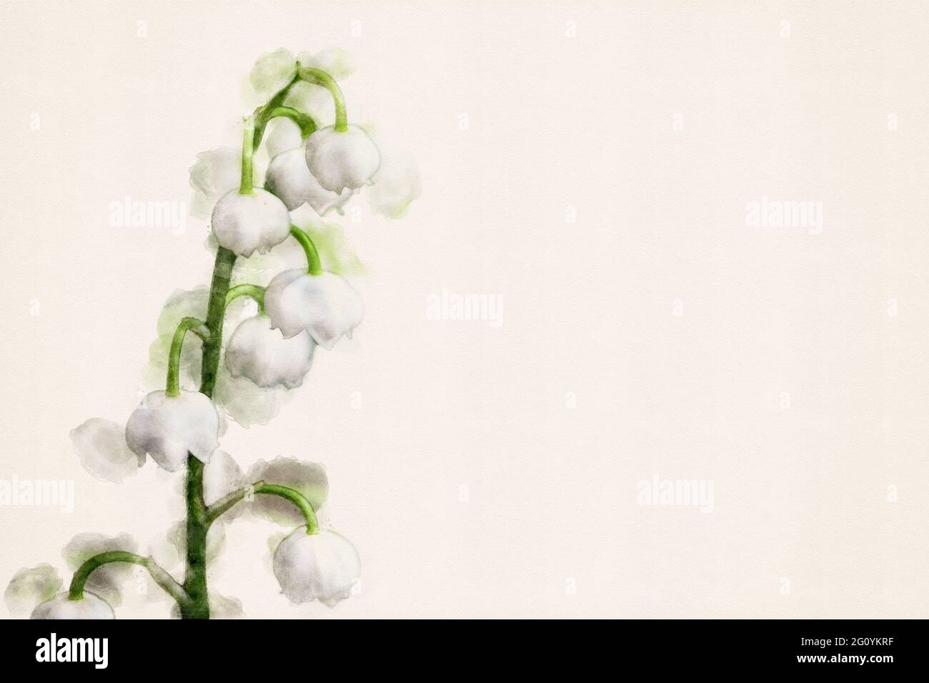 Lily de la vallée, Convallaria majalis. Plante à fleurs de bois douce et parfumée. Aquarelle, aquarelle. Banque D'Images