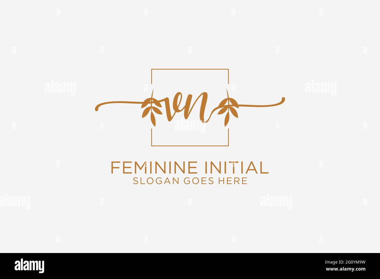 VN beauté monogramme et élégant logo design écriture logo de la signature initiale, mariage, mode, floral et botanique avec modèle créatif. Illustration de Vecteur