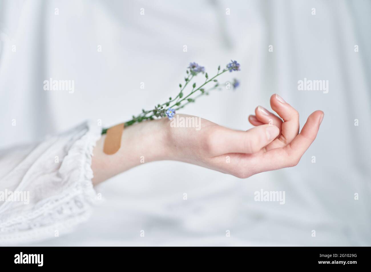 Filles Main Avec Forget Me Pas Ou Scorpion Herbe Fleurs Appliquees Avec Patch Sur Fond Blanc Vue De Dessus Avec Espace De Copie Concept D Esthetique De Bien Etre Ou De Cosmetiques Floral Printanier