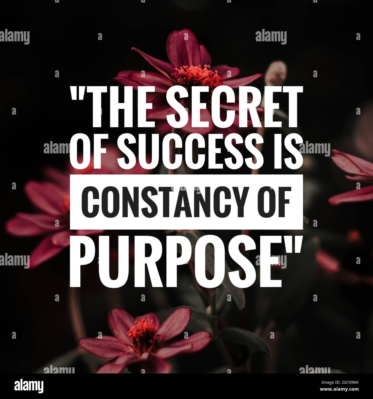 Citation De Succes Avec Fond De Nature Le Secret De S Success Est L Enfant De L Audace Photo Stock Alamy Citation De Succes Avec Fond De Nature Le Secret De S Success Est L Enfant De L Audace Photo Stock Alamy