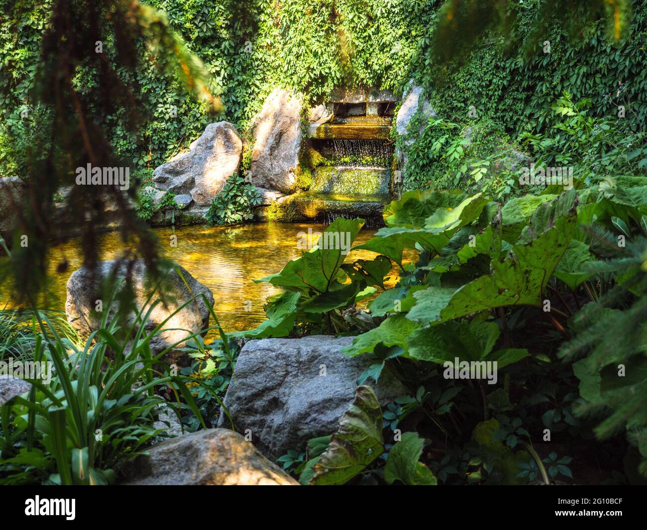 Vue à travers le feuillage au-dessus de la fontaine en cascade au milieu d'une végétation luxuriante avec de l'eau qui coule dans un étang de forme ronde. Ambiance chaleureuse dans le parc Sofiyivka. Banque D'Images