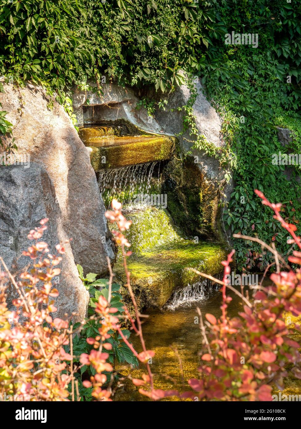 Vue à travers les buissons rouges sur la fontaine de cascade au milieu de verdure rampant avec de beaux jeux de lumière et d'ombre dans le parc Sofiyivka, Uman. Banque D'Images