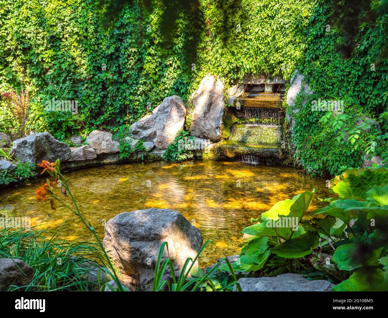 Vue à travers le feuillage au-dessus de la fontaine d'eau au milieu d'une végétation luxuriante avec de l'eau qui coule dans un étang de forme ronde avec de beaux jeux de lumière et d'ombre Banque D'Images