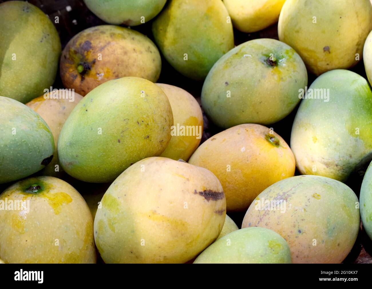 tas de mangue fraîche brute comme arrière-plan sur le marché Banque D'Images