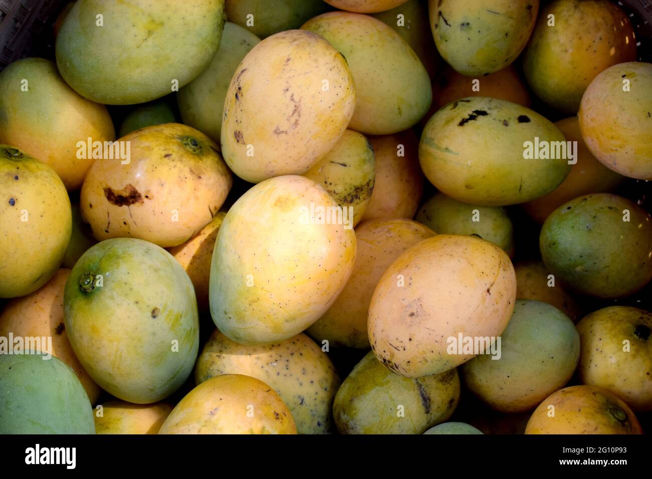 tas de mangue fraîche brute comme arrière-plan sur le marché Banque D'Images