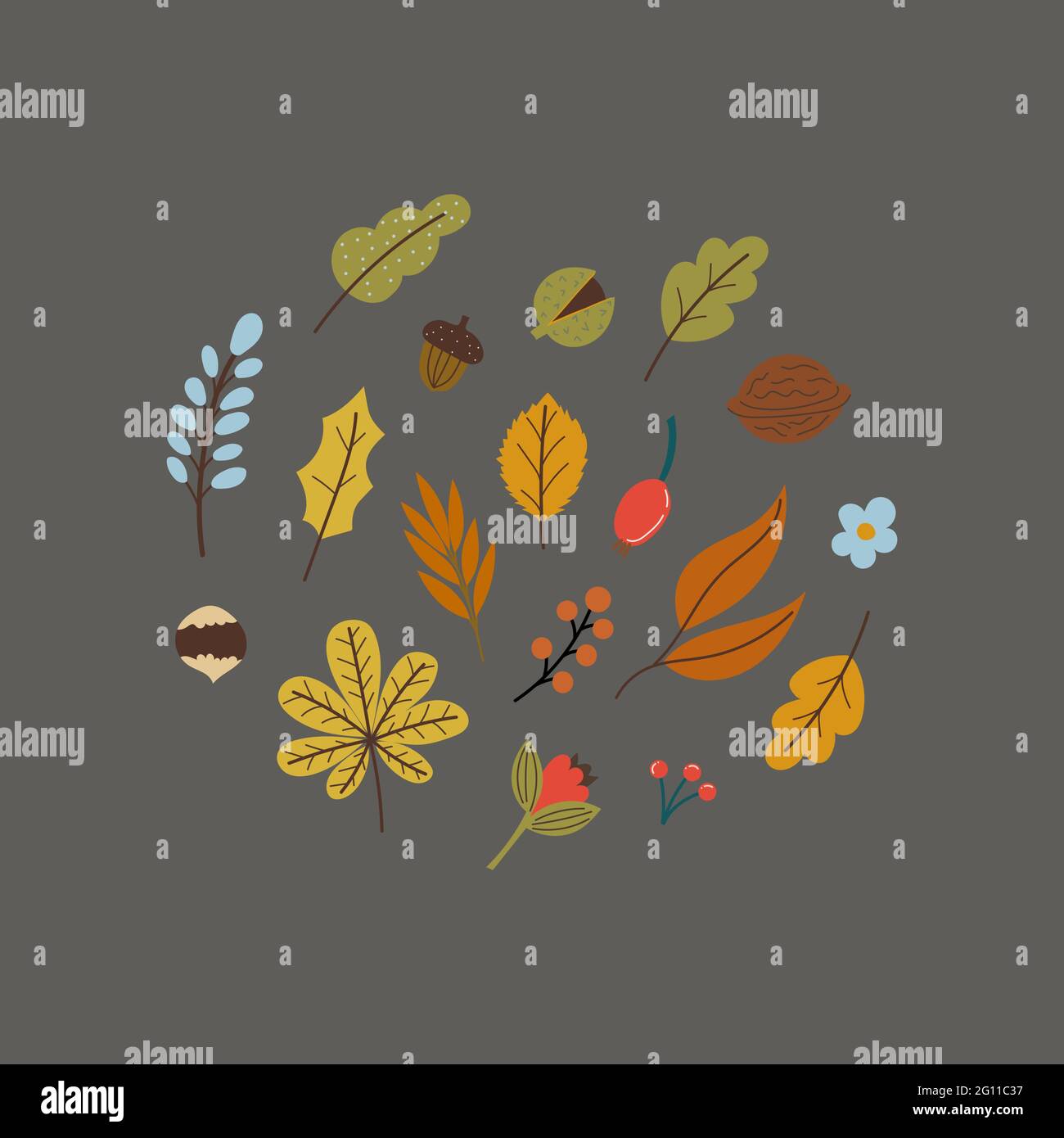 feuilles et noix d'automne plates Illustration de Vecteur