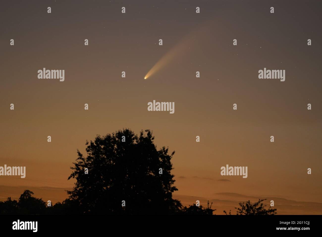 Comet Neowise C/2020 F3 Banque D'Images