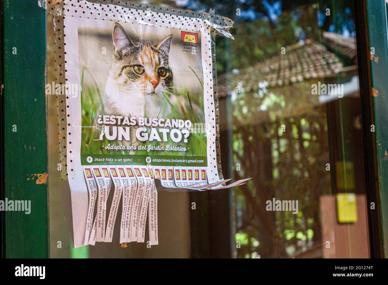 Argentine Buenos Aires Palermo Park jardin Botanico Carlos Thays jardin botanique signe Feral Cat population contrôle projet d'adoption langue espagnole Banque D'Images