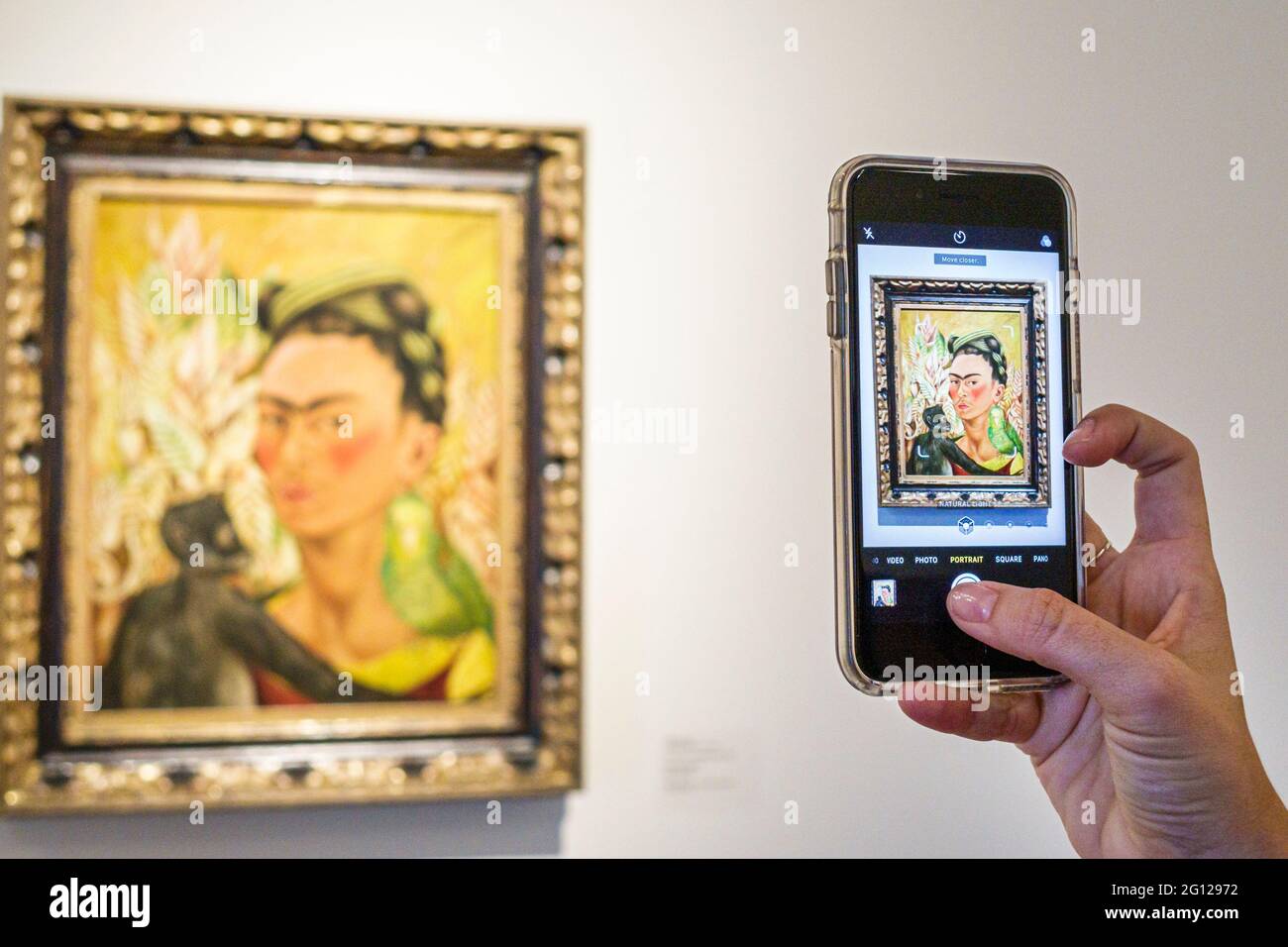 Argentine Buenos Aires Buenos Aires Musée d'art latino-américain MALBA Museo de Arte Latinoamericano intérieur de la galerie exposition peinture Frida Ka Banque D'Images